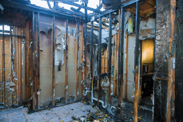 Professional Fire Damage Assessment technician working in Black Diamond, WA